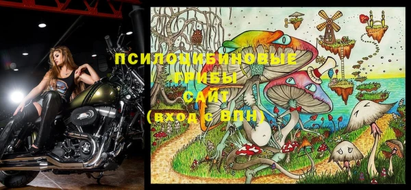 дурь Тихвин